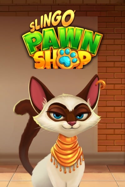 Slingo Pawn Shop